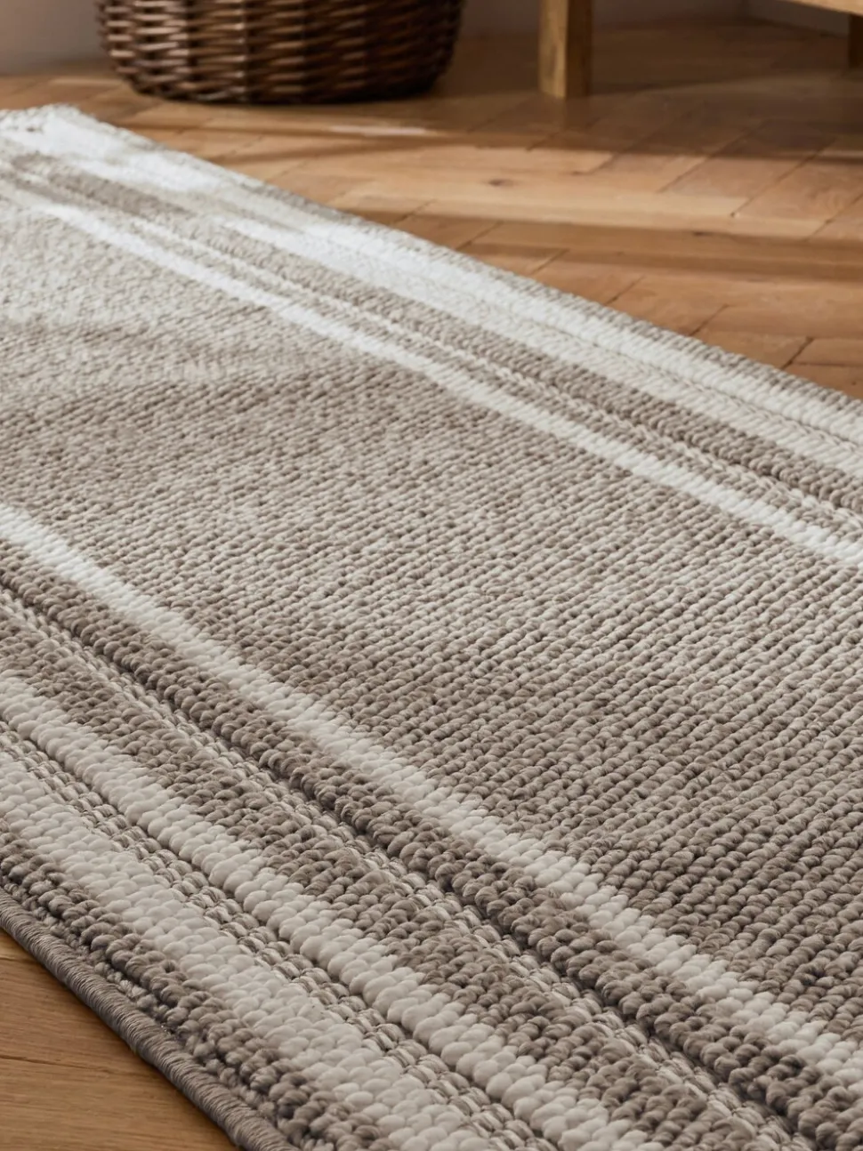 Albie Bobble Border Runner