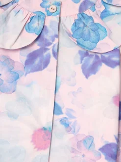 Angel & Rocket Celia Petal Collar Blouse