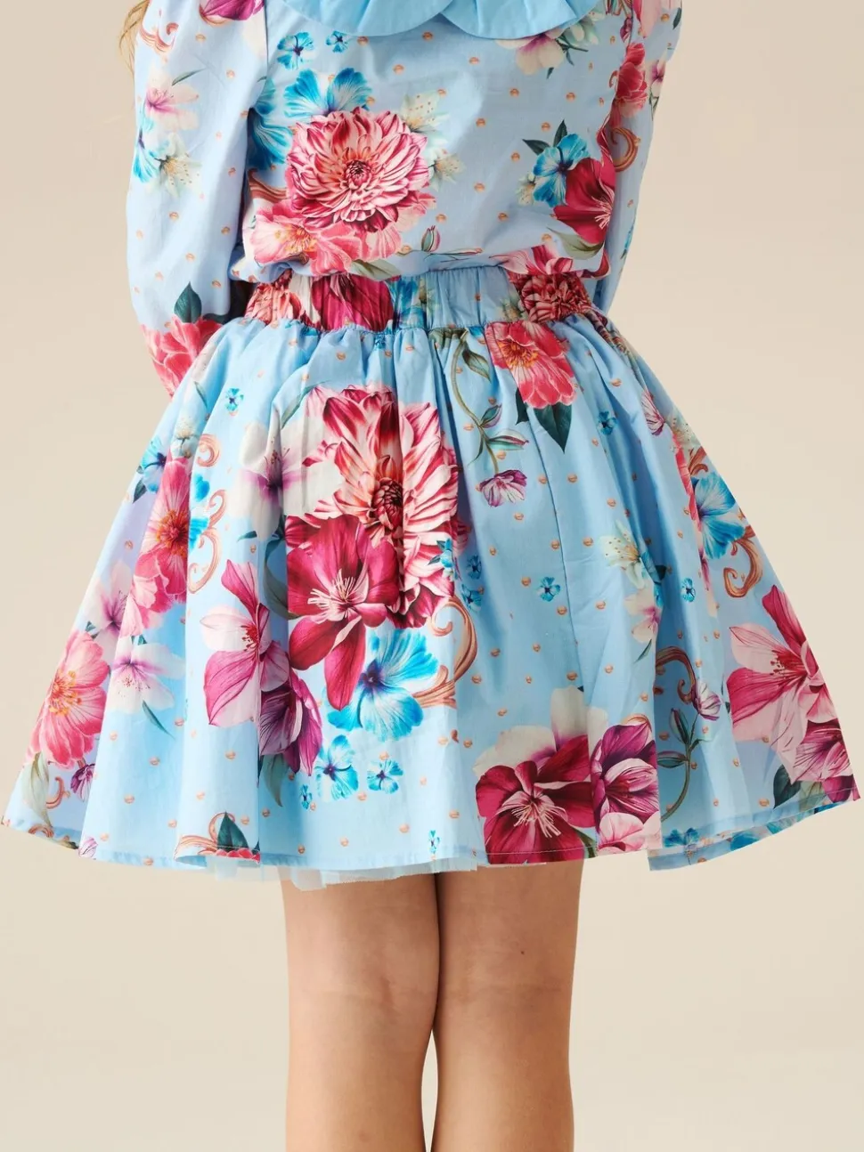 Angel & Rocket Darcy Print Bow Waist Skirt