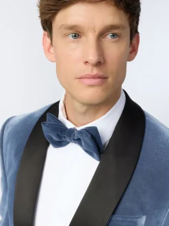 Antique Rogue Velvet Bow Tie