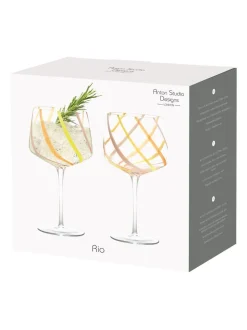 Anton Studio Designs - Set van 2 Rio Gin-glazen
