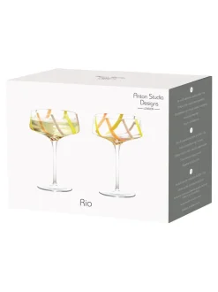 Anton Studio Designs set van 2 Rio champagnecoupes