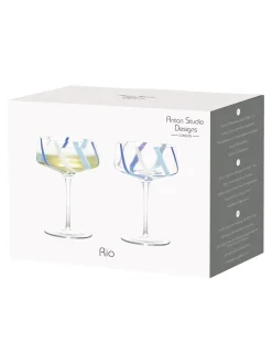 Anton Studio Designs set van 2 Rio champagnecoupes