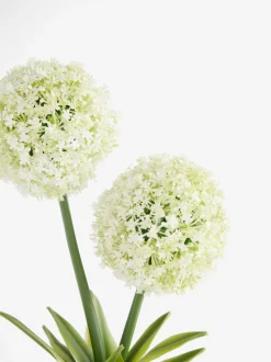 Artificial Allium Plant In Ribbed Ceramic Pot