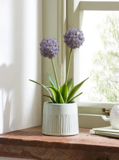 Artificial Allium Plant In Ribbed Ceramic Pot