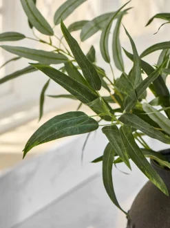 Artificial Eucylptus (3 Stems)