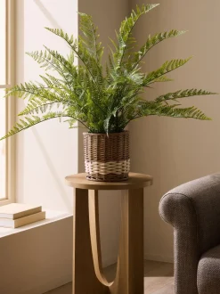 Artificial Fern In Malvern Woven Basket
