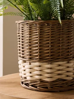 Artificial Fern In Malvern Woven Basket