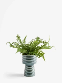 Artificial Fern in Ribbed Glaze Pot