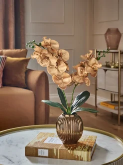 Artificial Orchid In Ceramic Vase