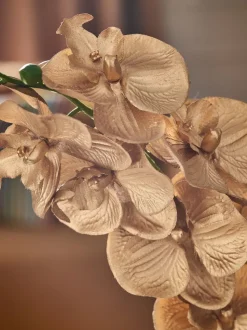 Artificial Orchid In Ceramic Vase