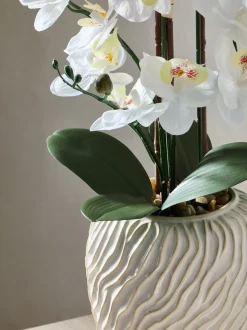 Artificial Orchid in Fairford Vase