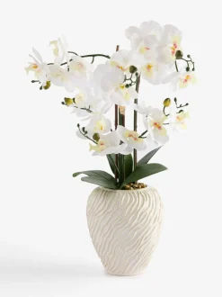 Artificial Orchid in Fairford Vase
