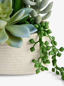 Artificial Succulent Garden In Ceramic Pot