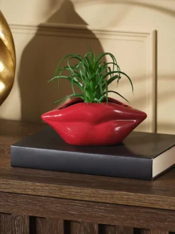 Artificial Succulent in Red Lips Vase