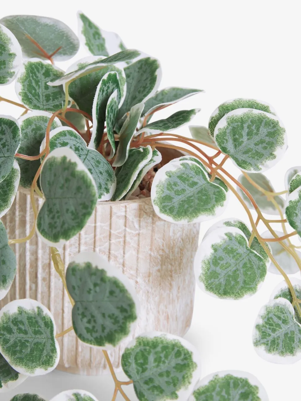 Artificial Trailing Eucalyptus In Marble Effect Pot