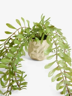 Artificial Trailing Plants In Mini Gold Hex Pots
