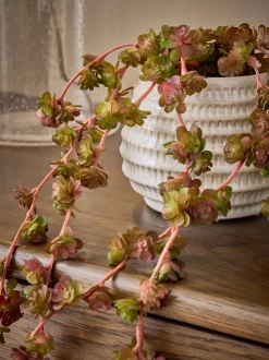 Artificial Trailing Succulent in Ceramic Pot
