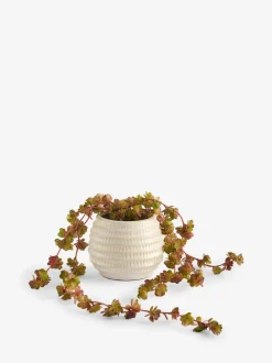 Artificial Trailing Succulent in Ceramic Pot
