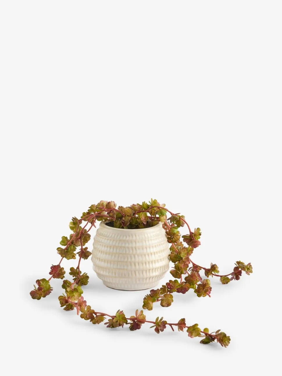 Artificial Trailing Succulent in Ceramic Pot