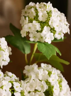 Artificial Viburnum (2 Stems)