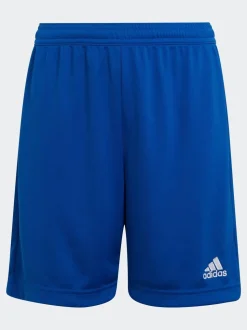 Blauw - adidas Entrada 22 short