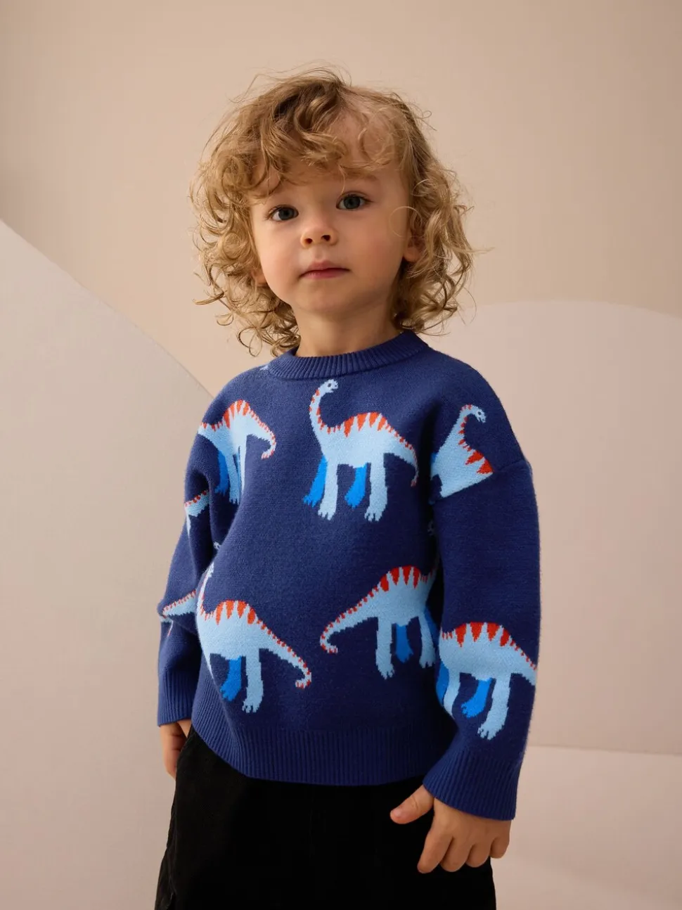 Blauw met dinosaurus - Gebreide trui met ronde hals (3 mnd - 7 jr)
