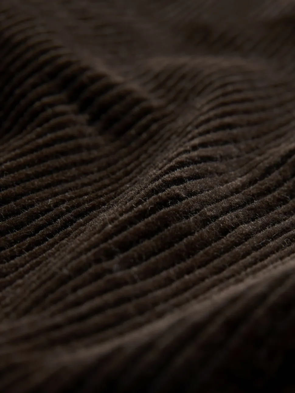 Bruin - Corduroy Joggers