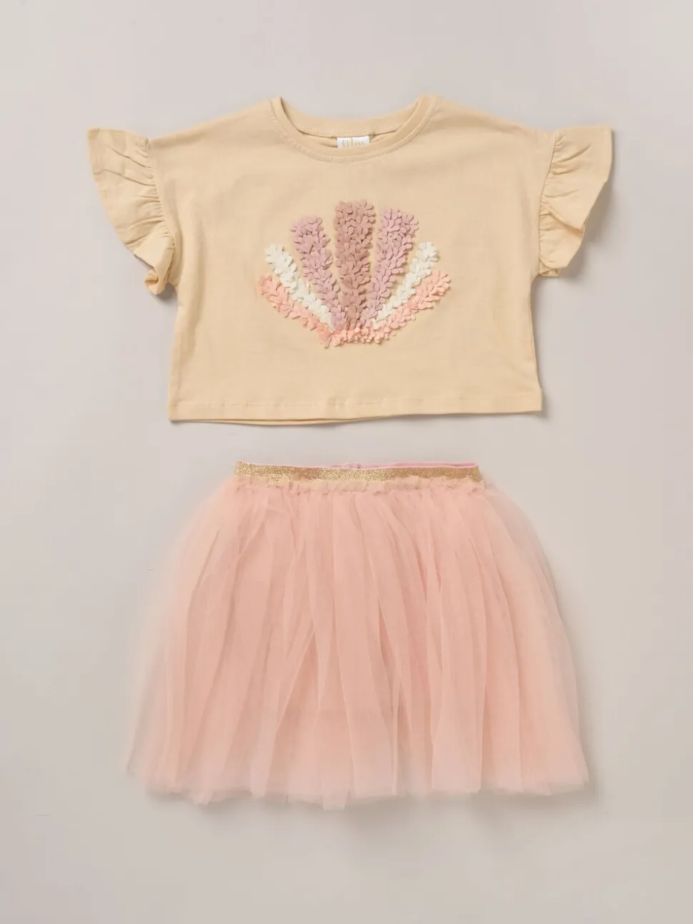 Bruin - Miss Cropped Printed T-Shirt and Skirt Outfit Set