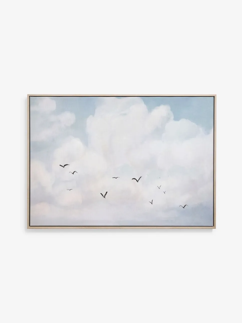 Clouds Scape Handpaint Detail Framed Wall Art