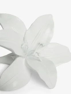 Decoratieve lelie