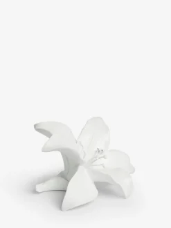 Decoratieve lelie
