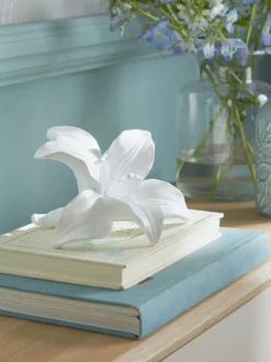 Decoratieve lelie
