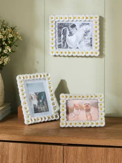Fotolijstje met lentemadeliefjes