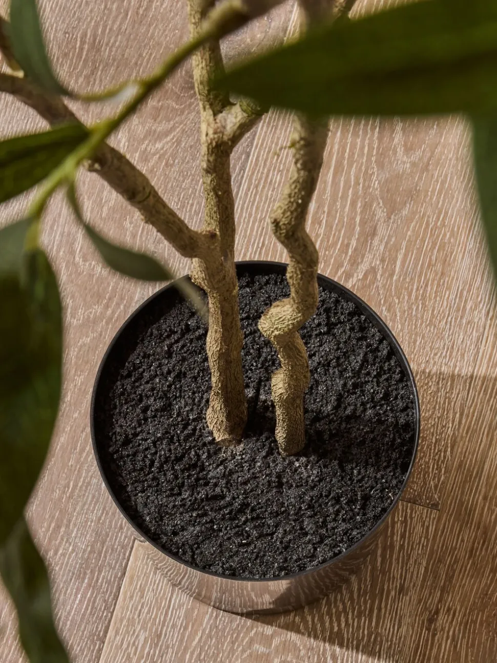 6ft Artificial Olive Tree