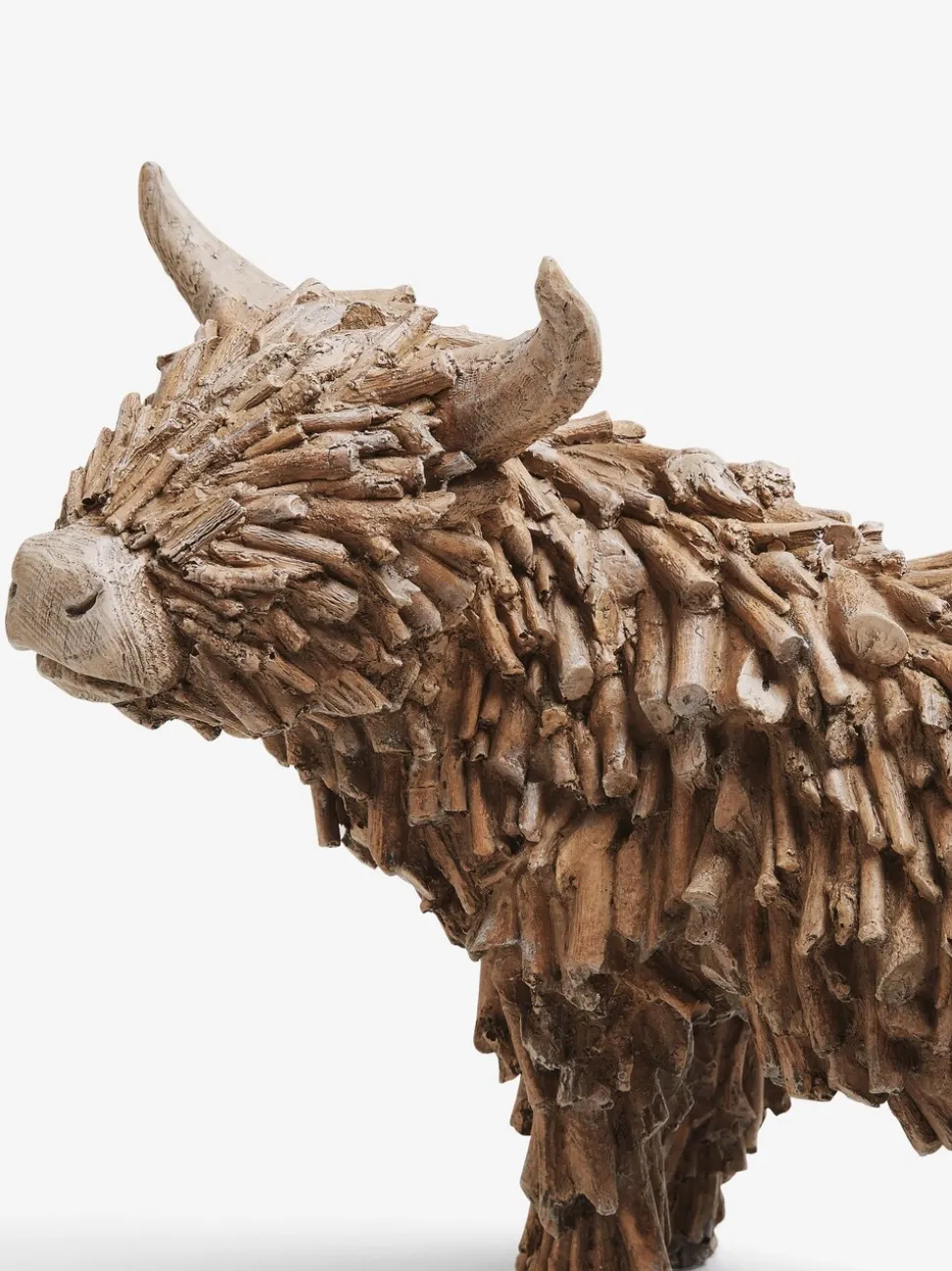 Hamish the Highland Cow