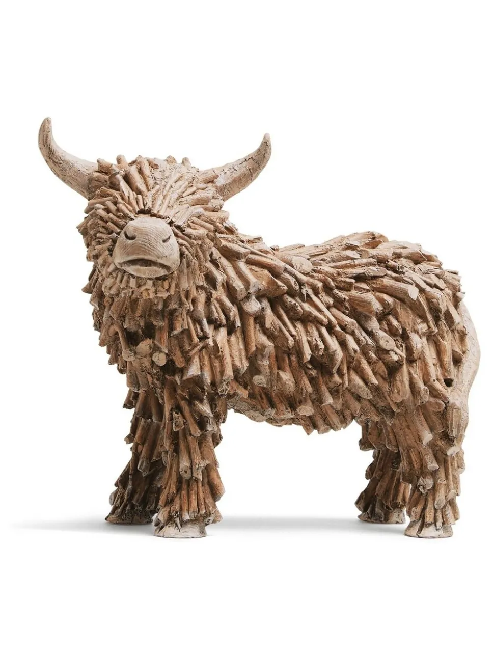 Hamish the Highland Cow