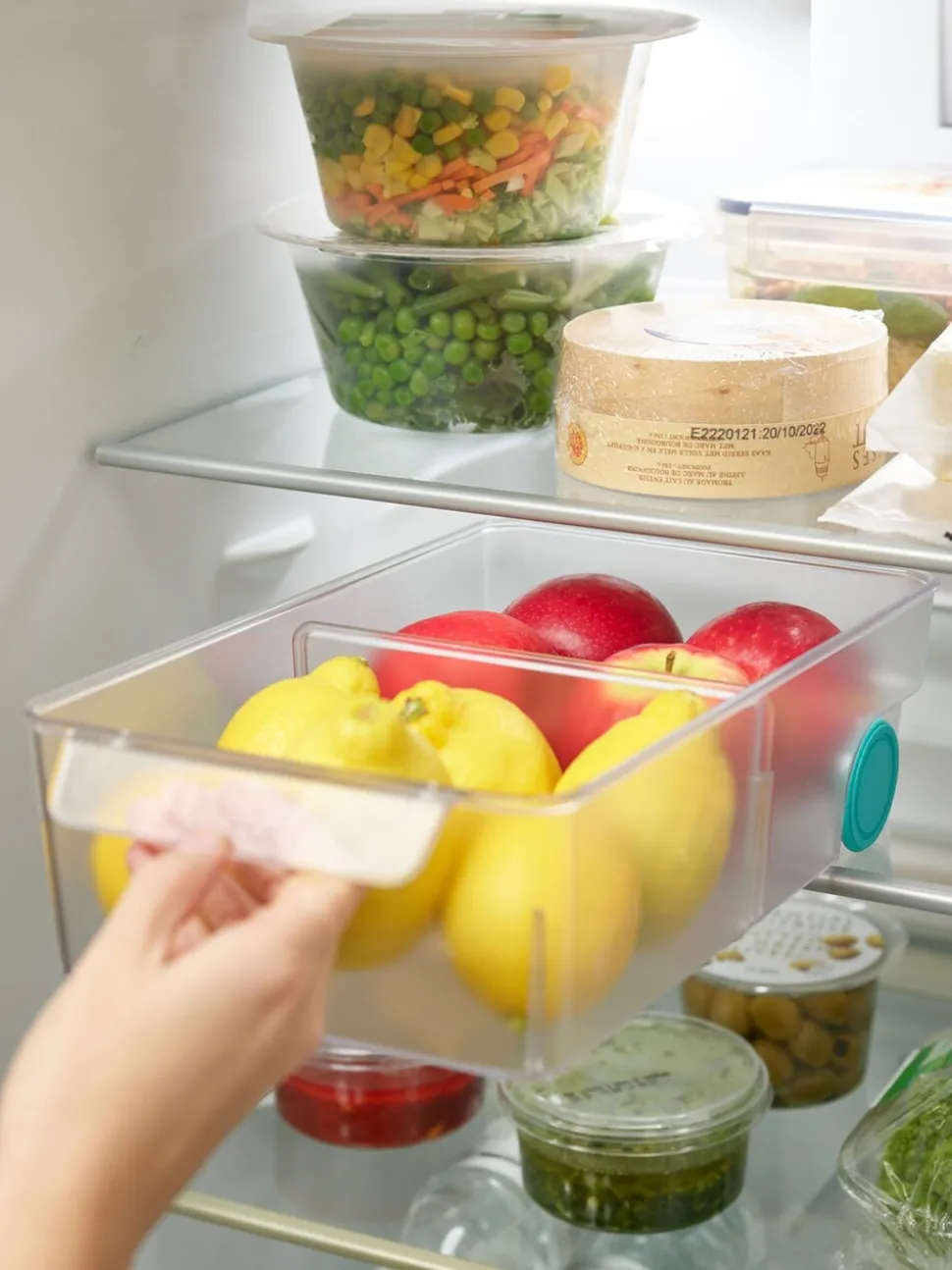 Joseph Joseph FridgeStore grote opbergbak