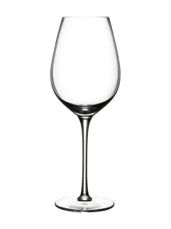 Judge Set of 4 White Wine Glasses