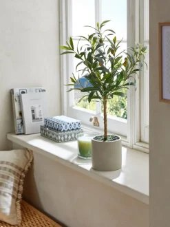 Kleine kunstolijfboom in betonnen pot