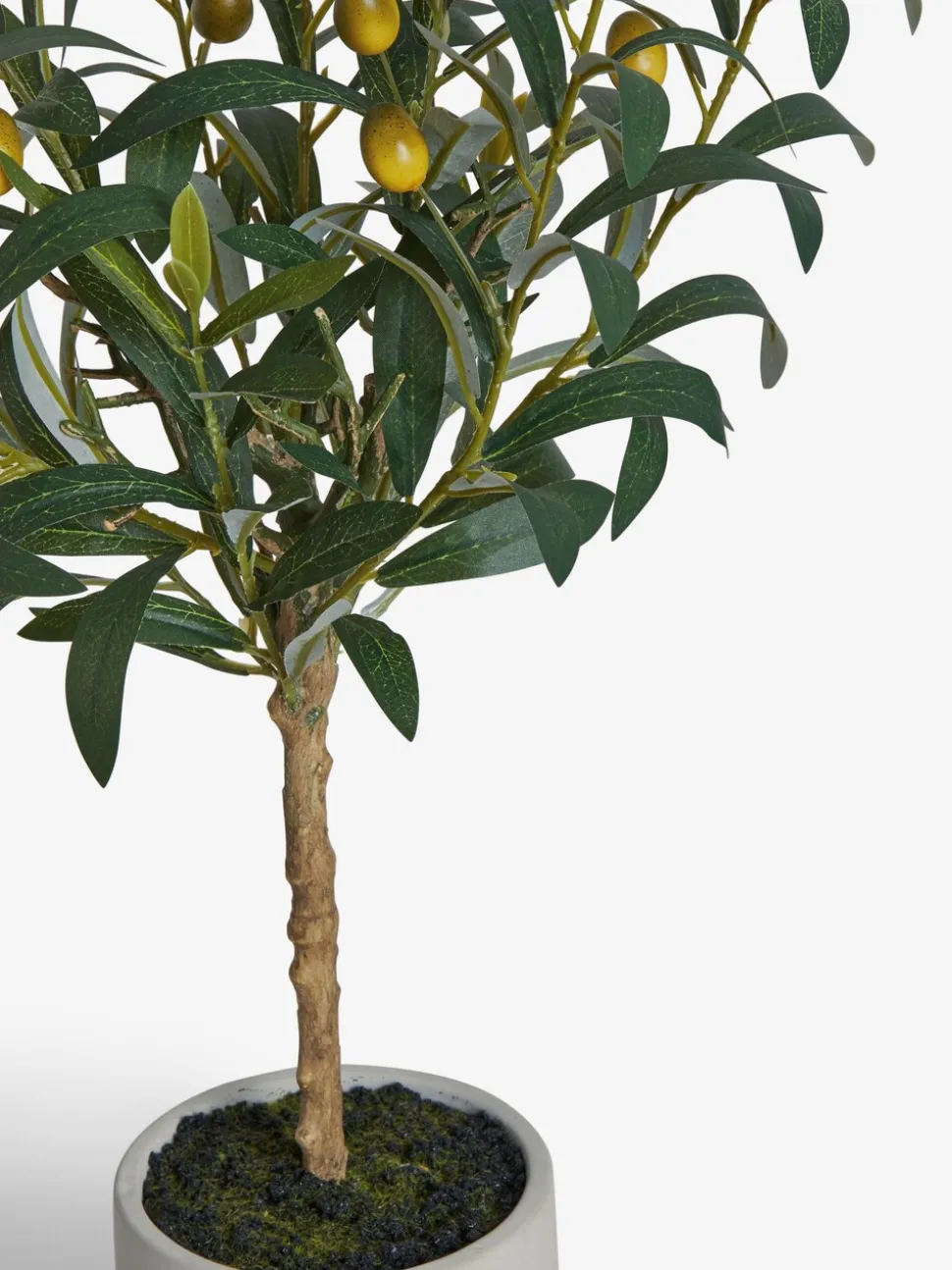 Kleine kunstolijfboom in betonnen pot