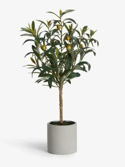Kleine kunstolijfboom in betonnen pot