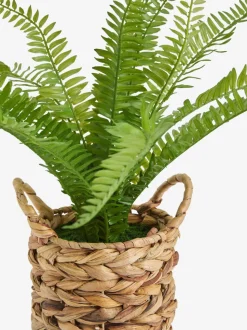 Kunstmatige Boston-varen in een natuurlijk geweven plantenpot