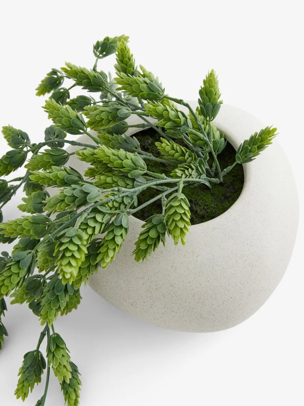 Kunstmatige hangende hop in witte keramische pot