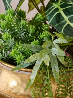 Kunstmatige succulentenopstelling