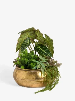 Kunstmatige succulentenopstelling