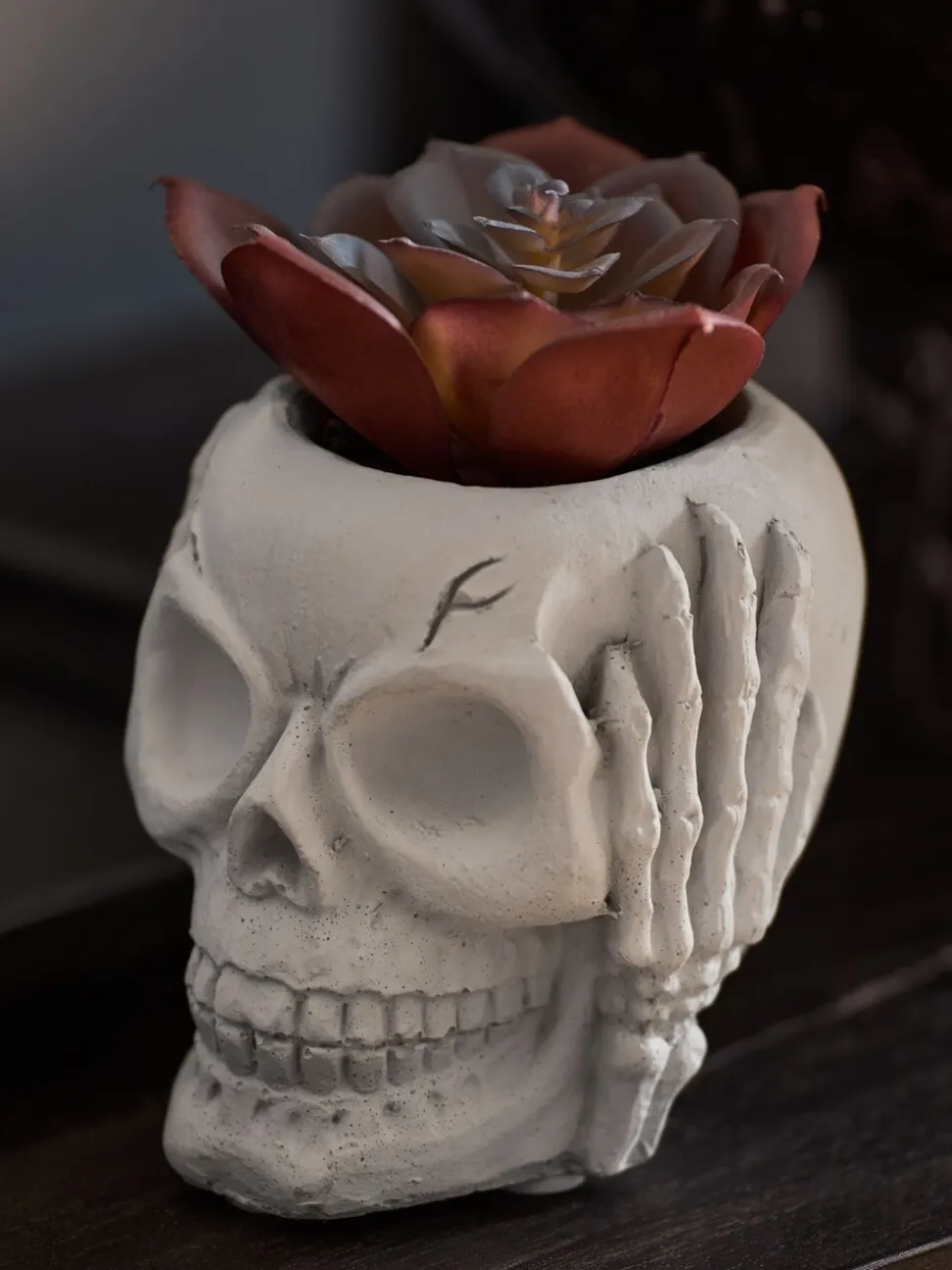 Kunstvetplant in een griezelige Halloween-schedel