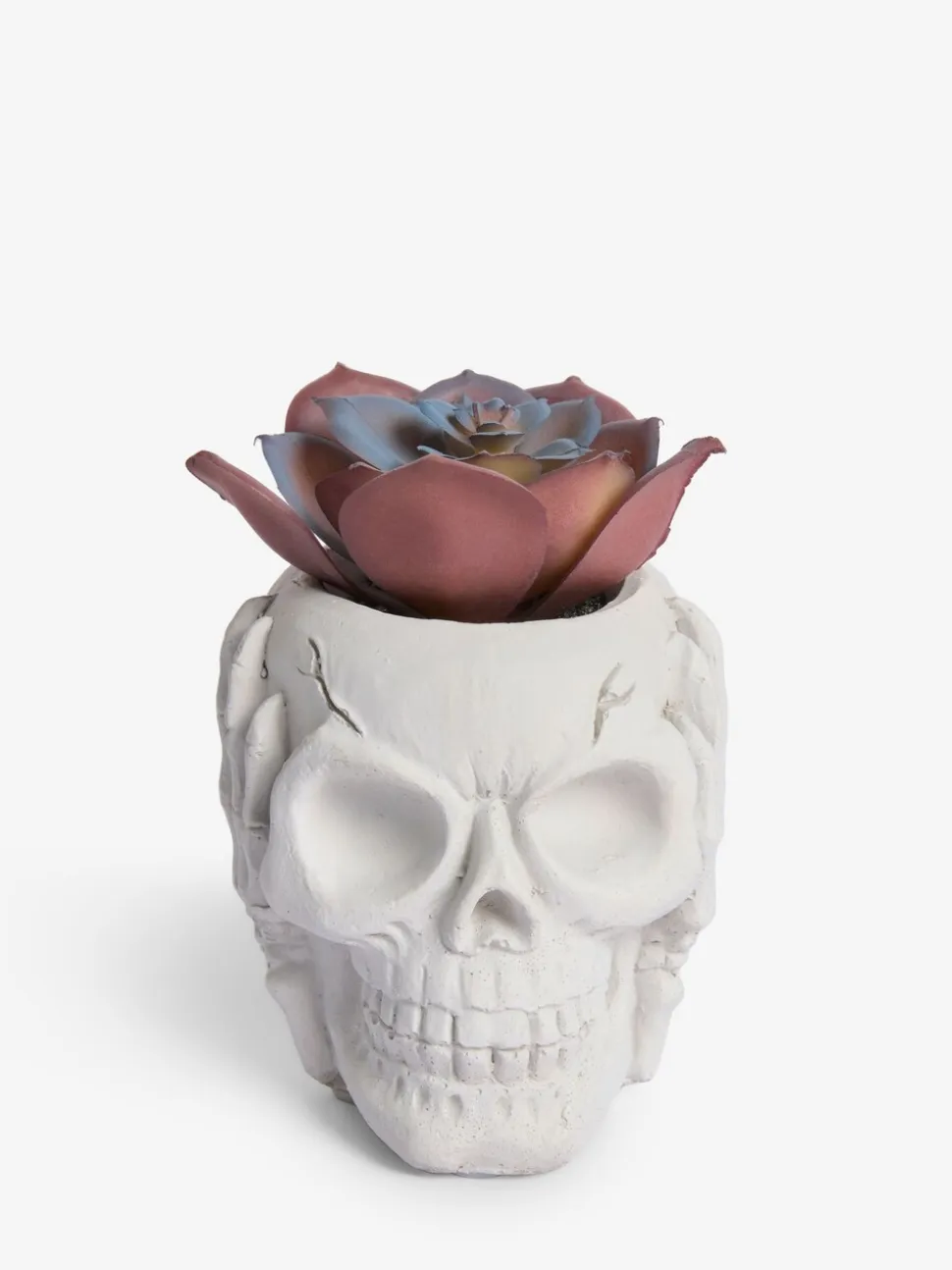 Kunstvetplant in een griezelige Halloween-schedel