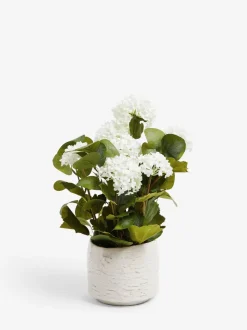 Kunstvibranumplant in countrypot