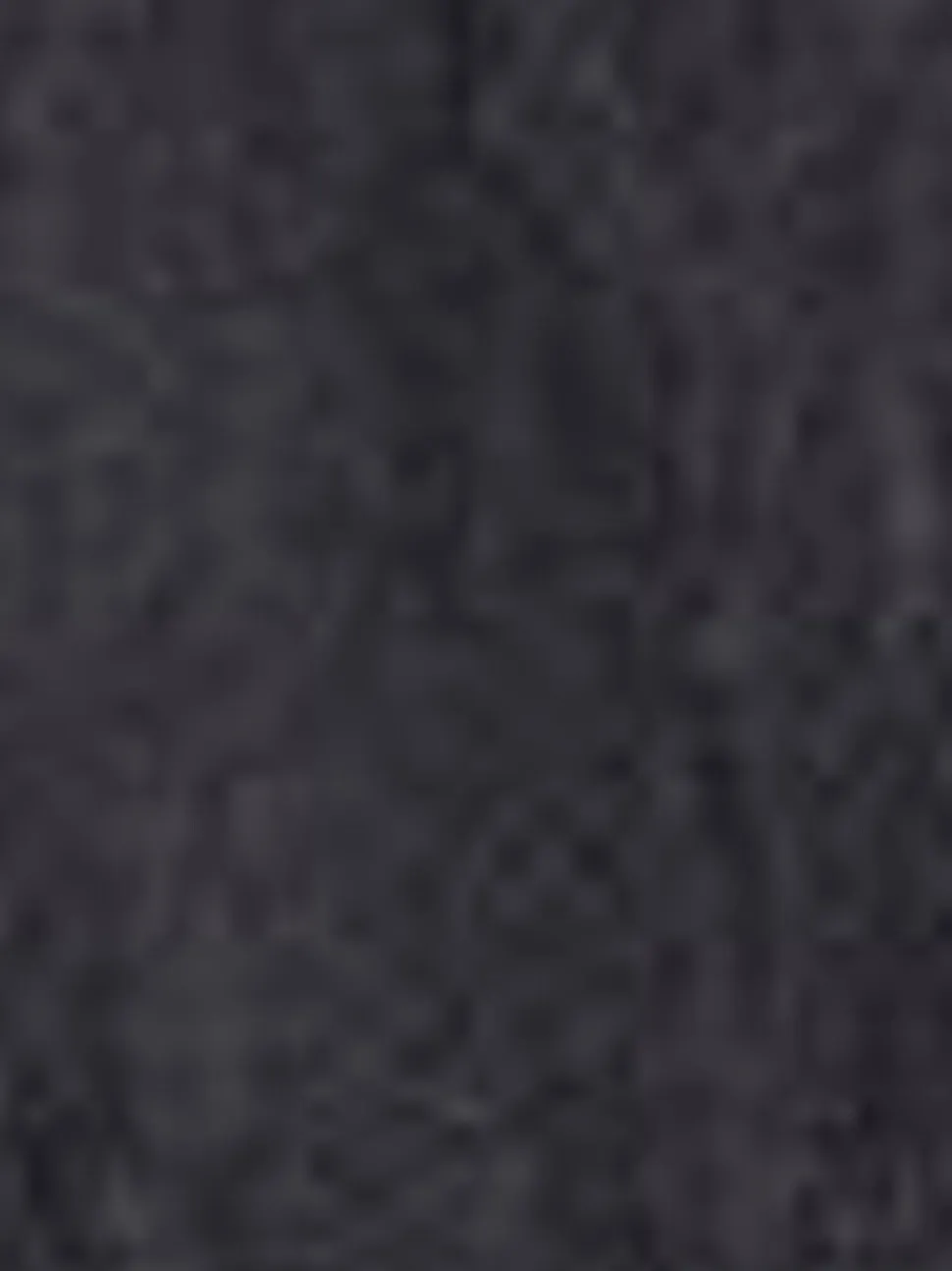 Levi's® riem met brede lus en Twee Paarden-logo